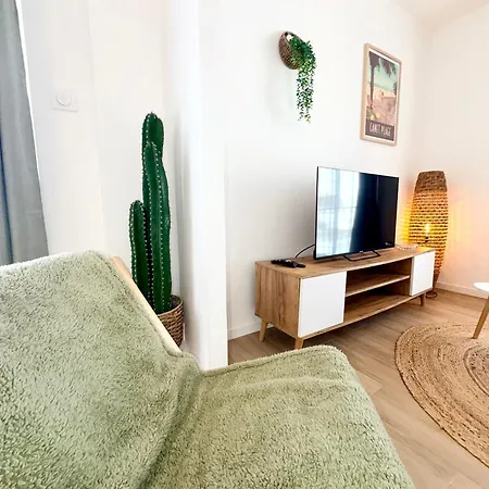Apartmán Elegant T2 Proche De La Avec Parking Prive Canet-en-Roussillon